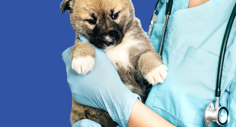 Quinesioterapia e acupuntura