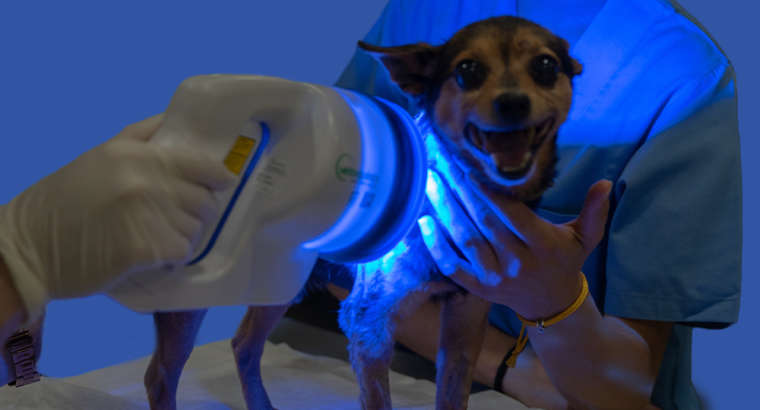 Crioterapia e Phovia