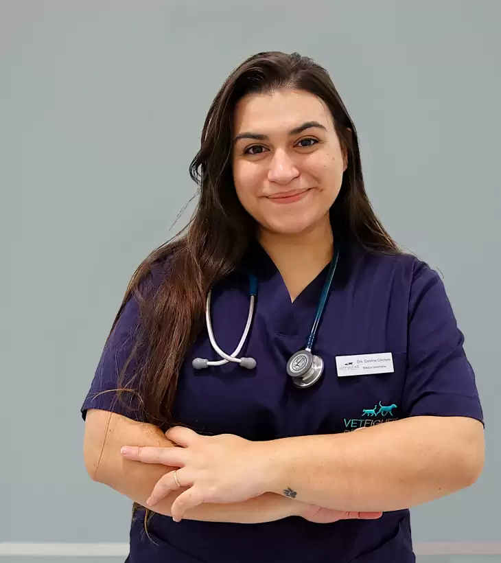 Drª.  Carolina Colchete